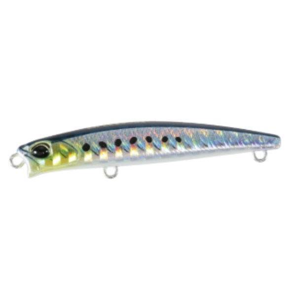 テトラワークス トトスリムリップレス 50S(AHA0011 マイワシ)